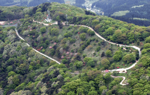 クロスカントリー クロスカントリー