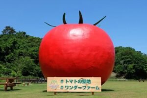 ワンダーファーム